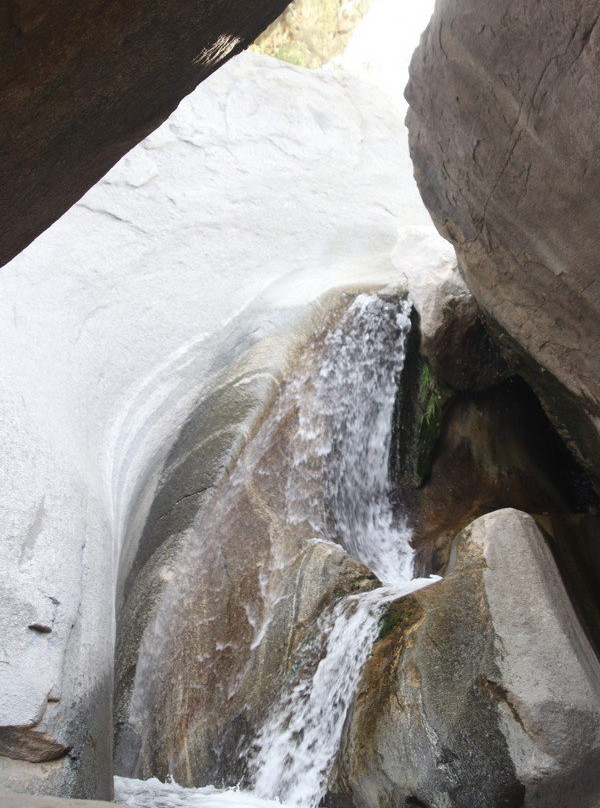 Indian Canyons Hiking Trails-棕榈泉市必去景点