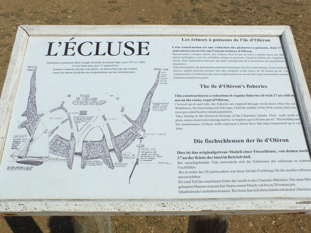 Ecluses a poissons景点图片