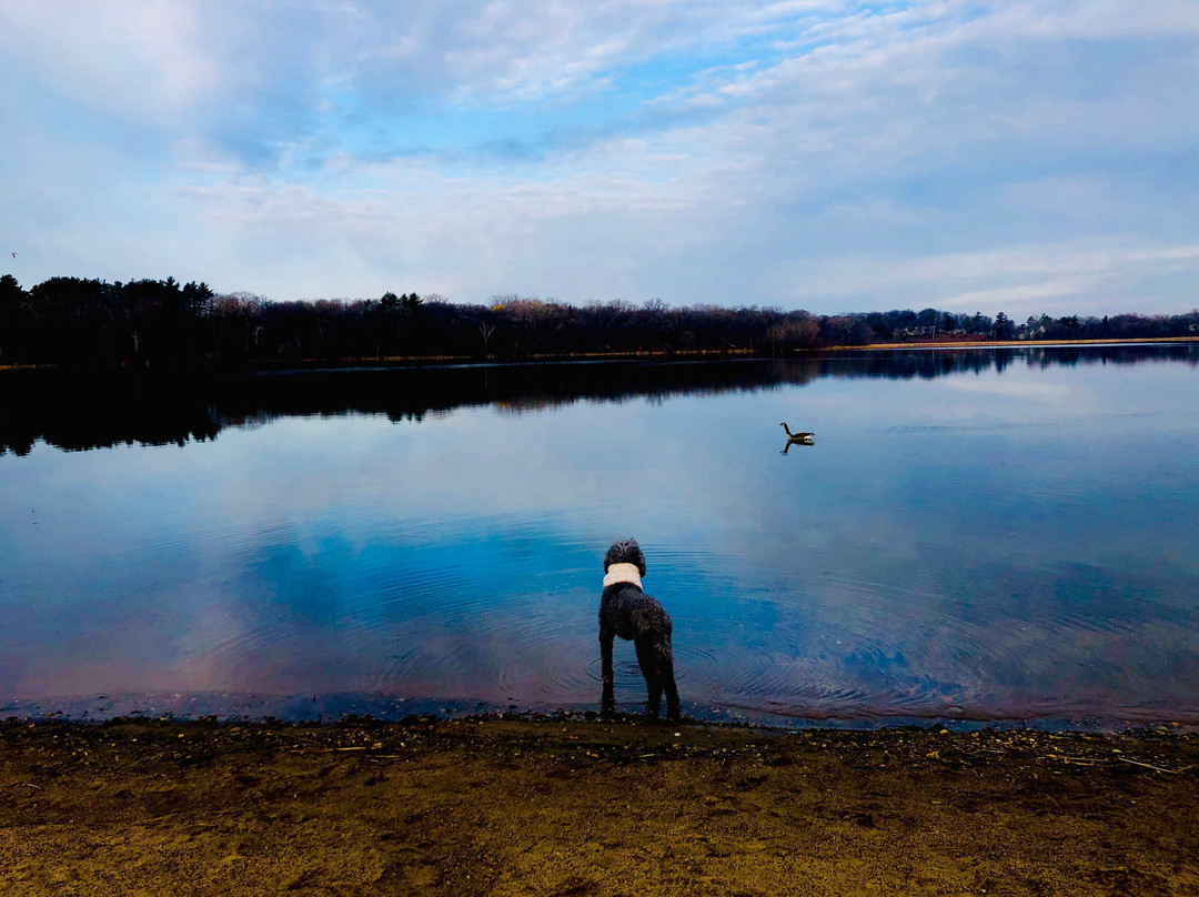 Hyland Lake Park Reserve-布卢明顿必去景点