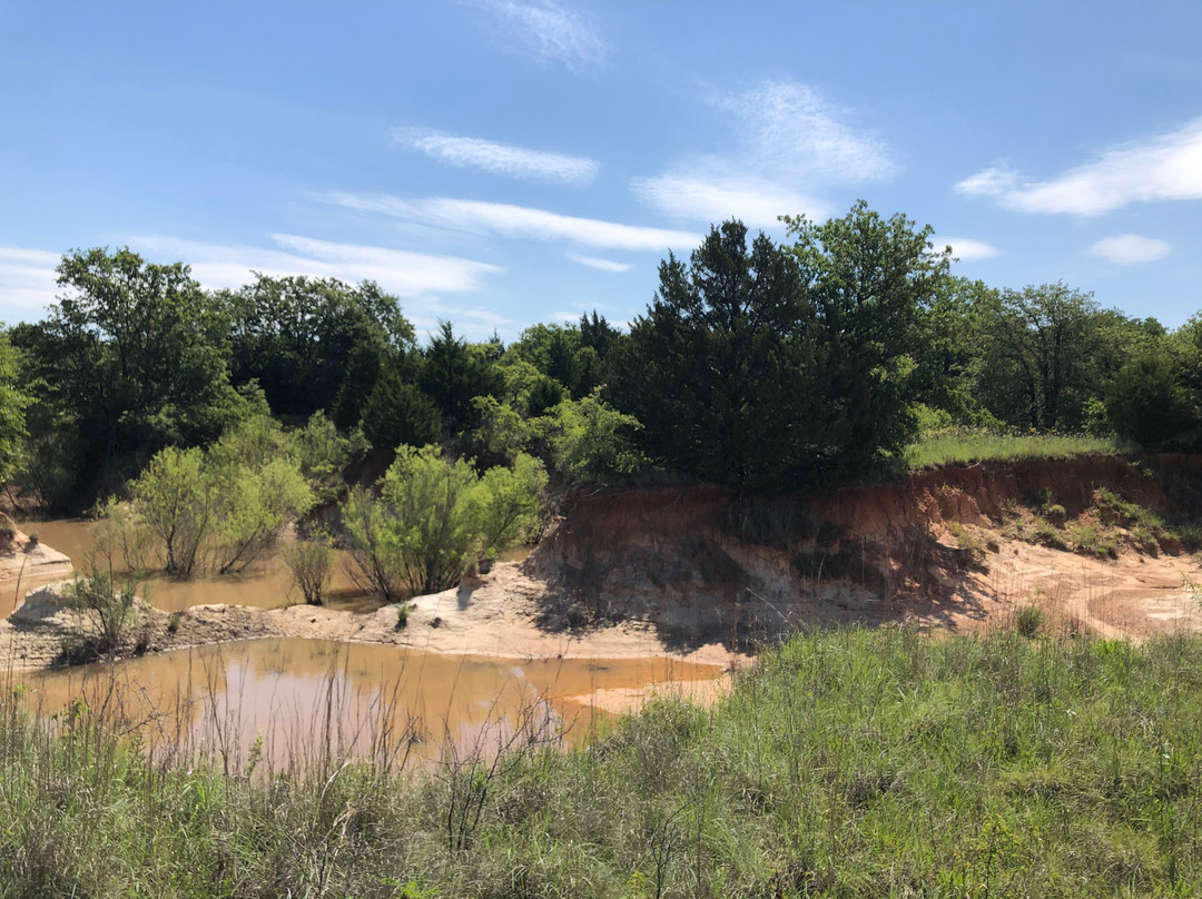 Wright Direction Horsemanship-Alvord必去景点