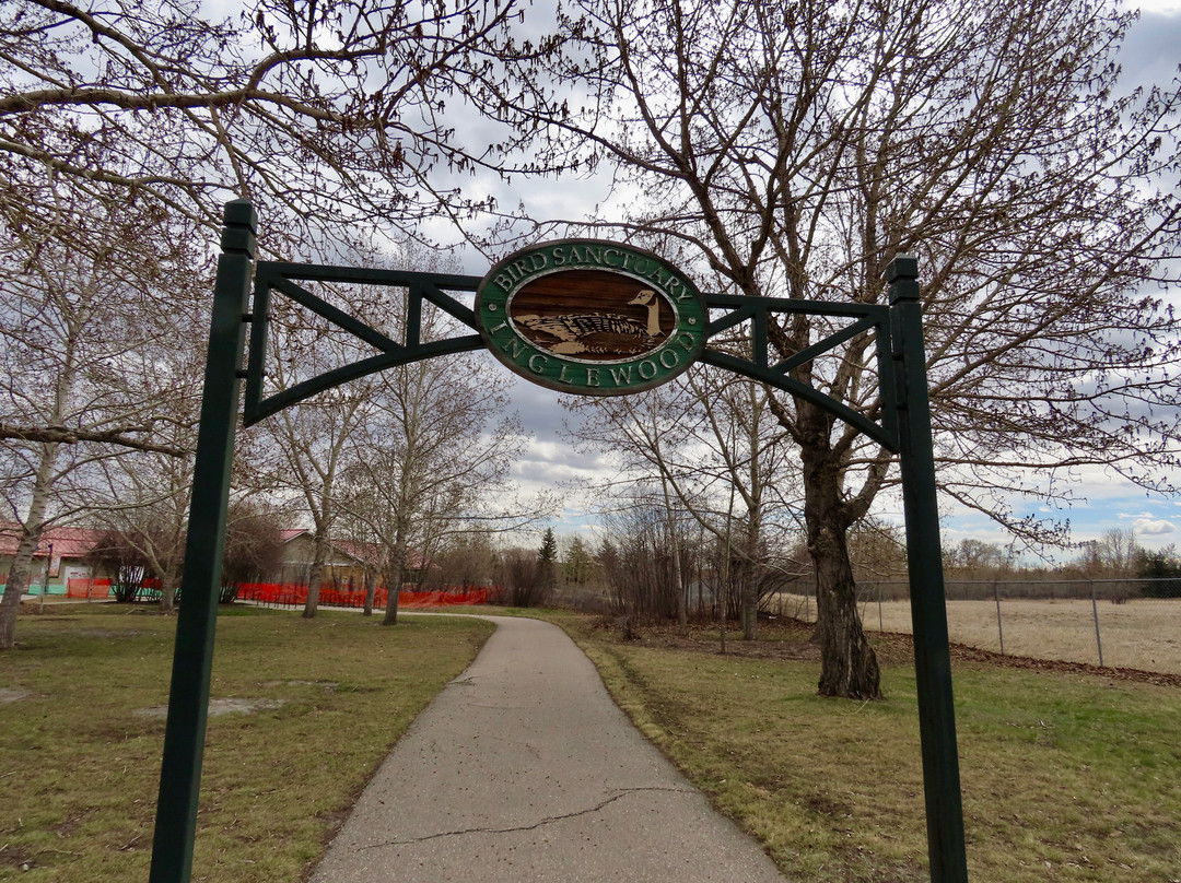 Inglewood Bird Sanctuary and Nature Centre-卡尔加里必去景点