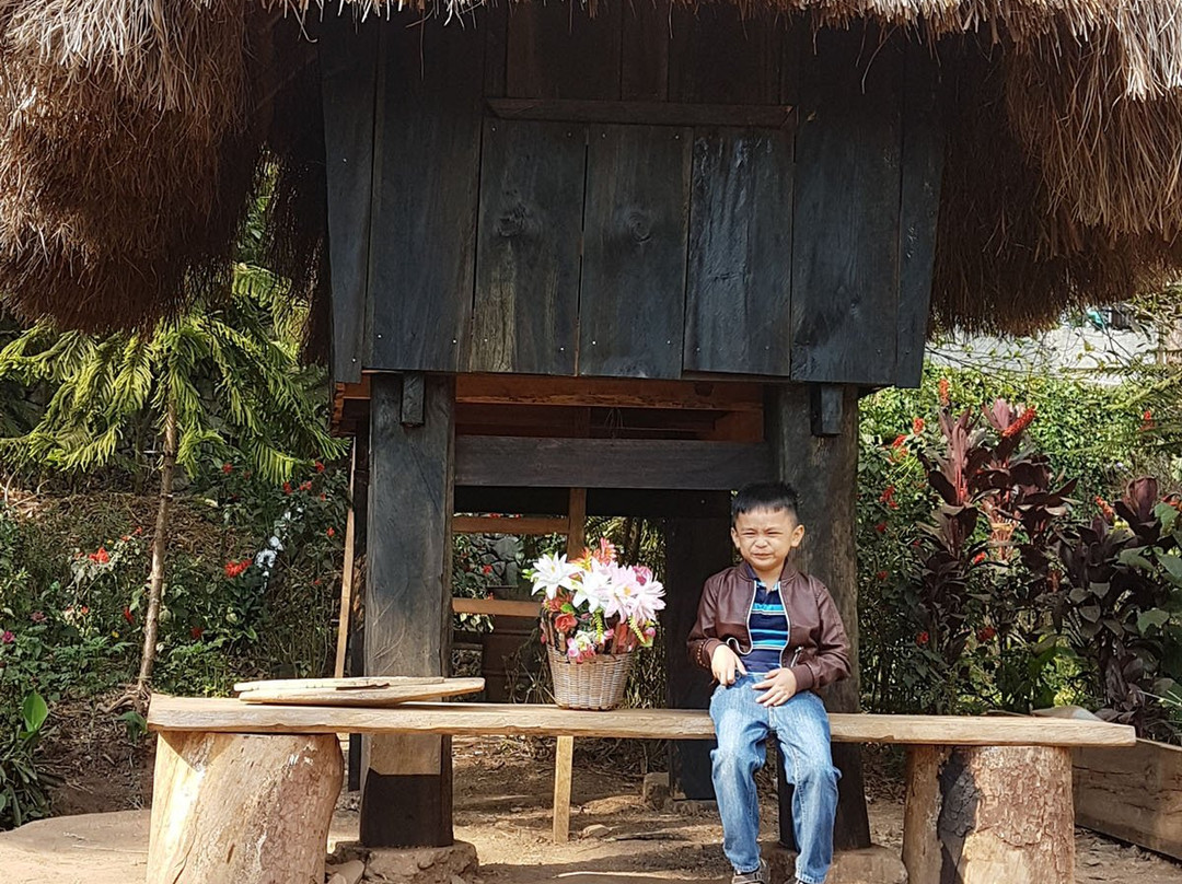 Baguio Botanical Garden-碧瑶必去景点