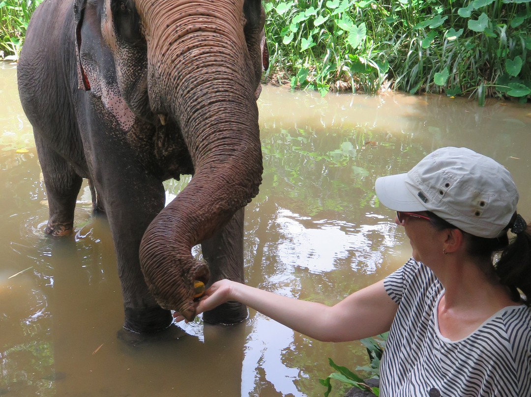 Aruna Tours Kandy-康提必去景点