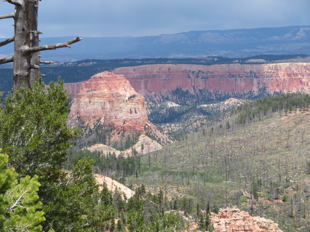 Piracy Point-布莱斯峡谷国家公园必去景点