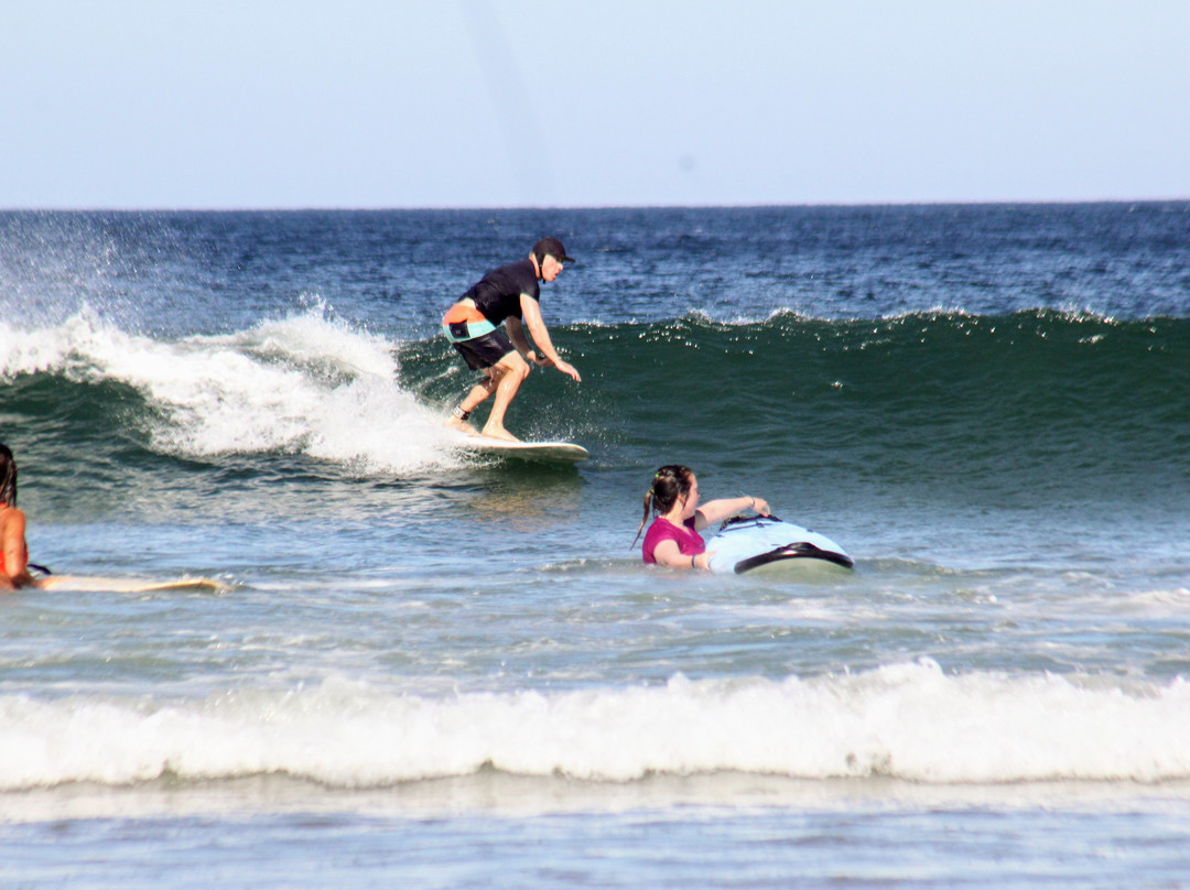 Coconut Harrys Surf Shop and Surf School景点图片