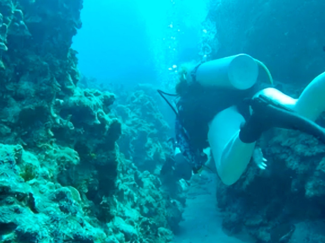 Devil's Grotto-大开曼岛必去景点
