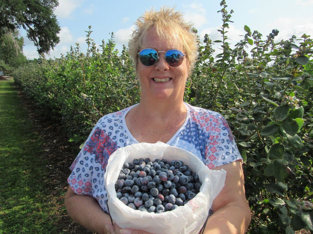 Back Road Berries-Oxford必去景点