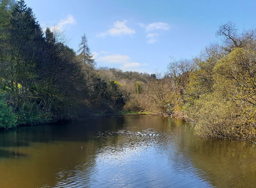 Gleniffer Braes Country Park景点图片