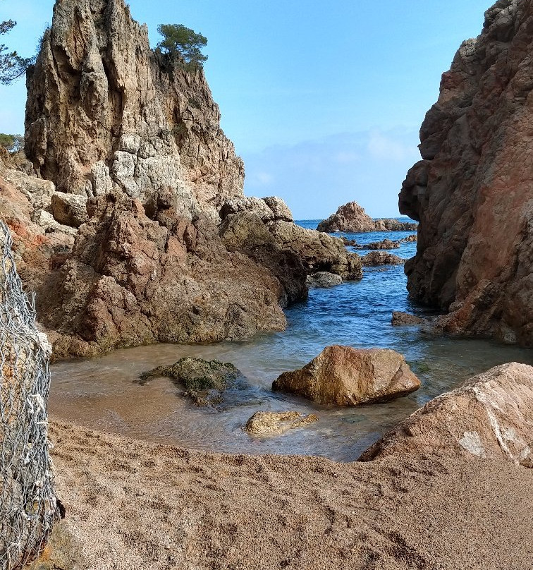 Chemin de Ronde景点图片