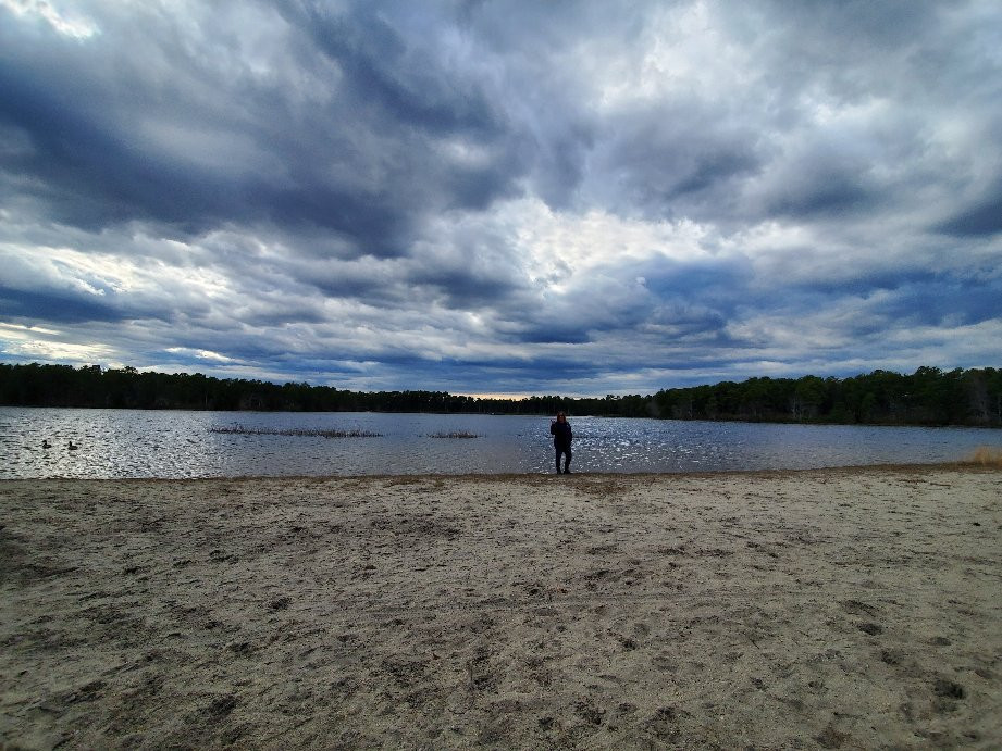 Bass River State Forest-Tuckerton必去景点