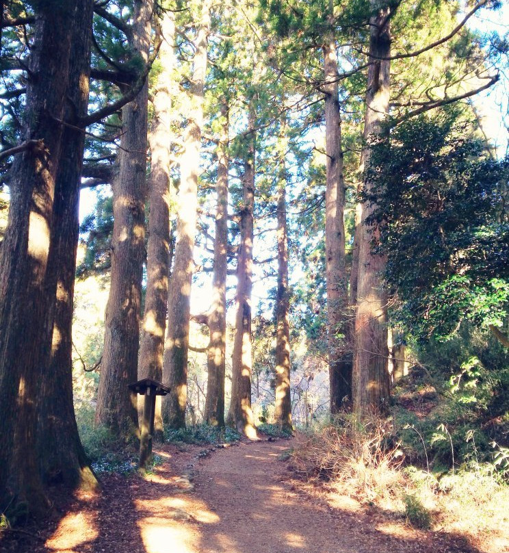 箱根旧石铺路-箱根町必去景点