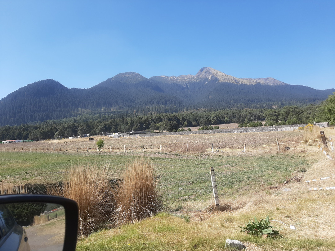 Cumbres Del Ajusco National Park-墨西哥城必去景点