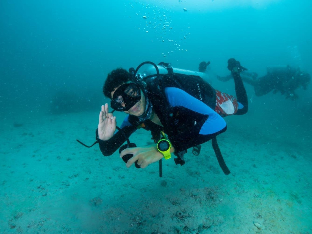 Dive Vision-Amwaj Islands必去景点