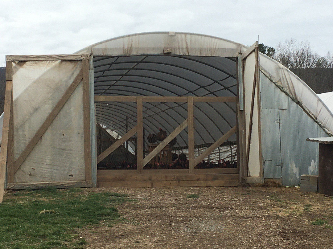 Polyface Farms-Swoope必去景点