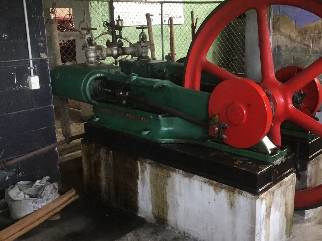 Golden Bay Machinery & Early Settlers Museum景点图片