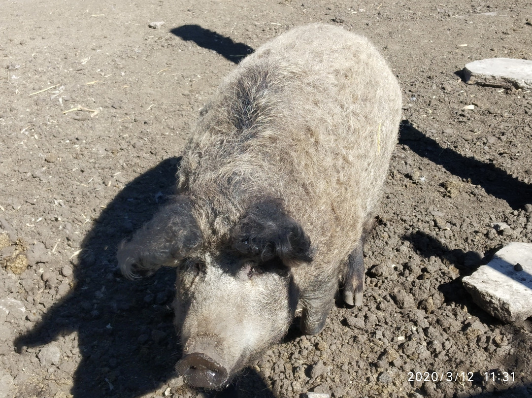 Frumushika-Nova-Starosillya必去景点