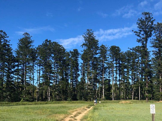 Oxley Creek Common-布里斯班必去景点