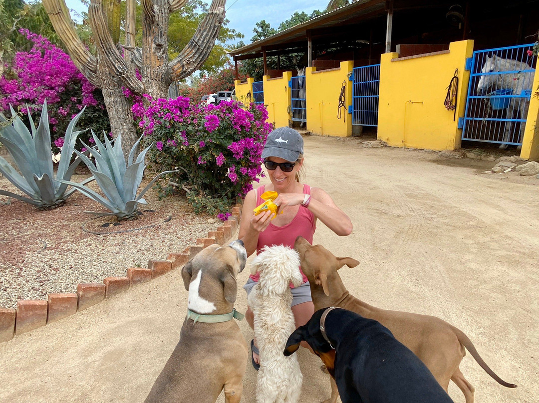 Cuadra San Francisco-洛斯卡布斯必去景点