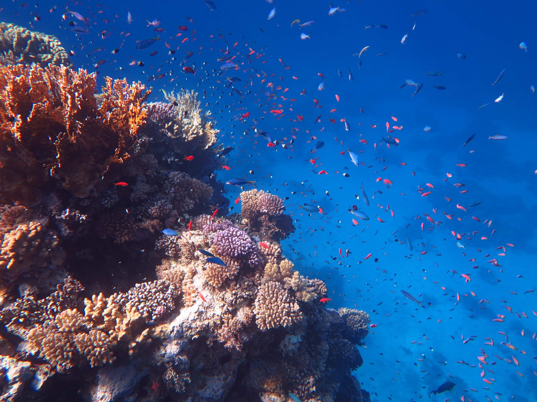 Coco Trans - Excursions-马萨阿拉姆必去景点