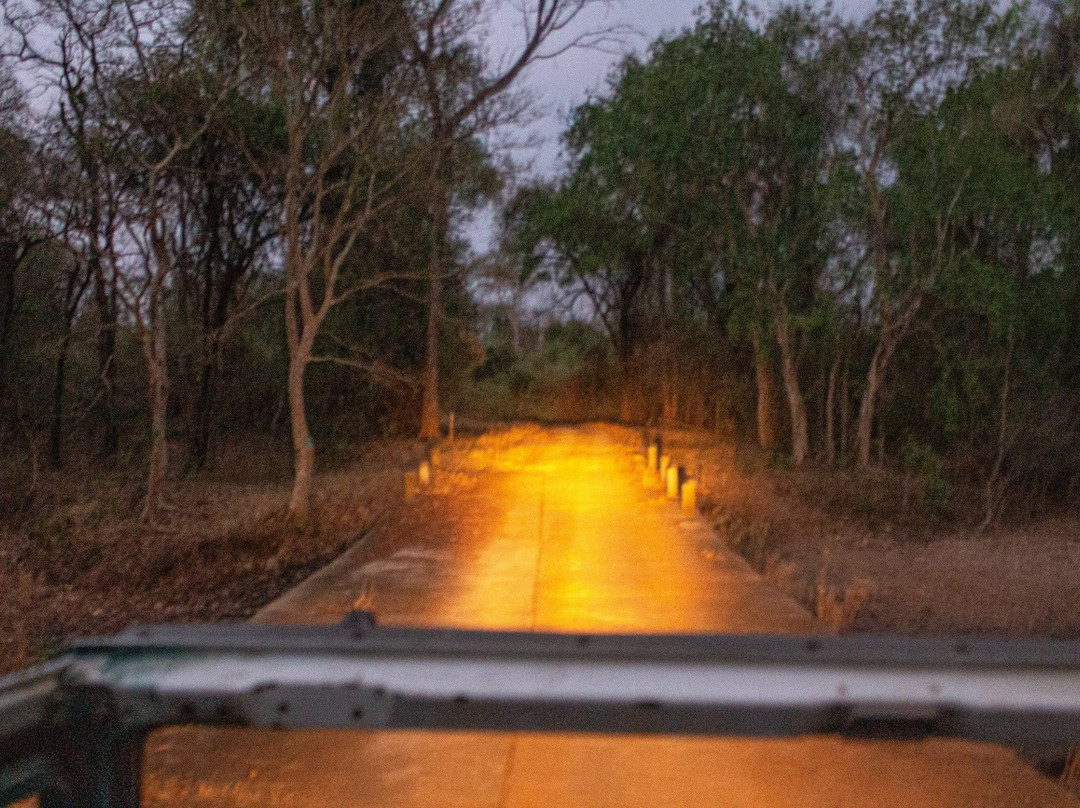 Nawegaon-Nagzira Tiger Reserve景点图片