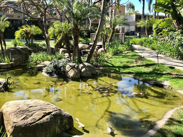 拉霍亚喜来登酒店主图