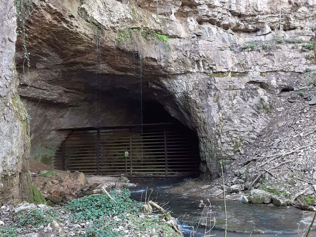 Sauta Cave National Wildlife Refuge-Scottsboro必去景点