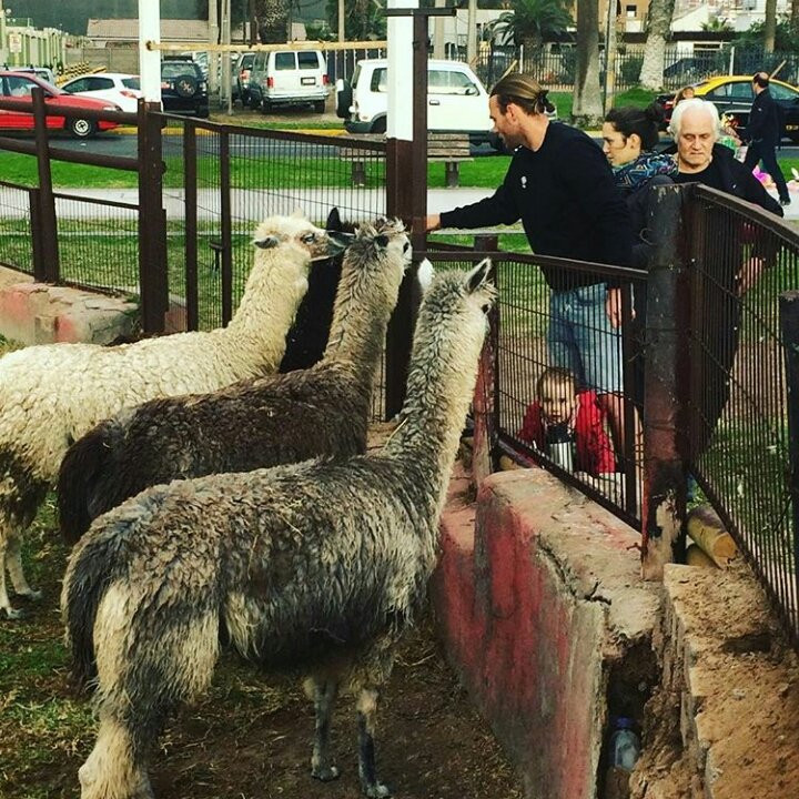 Paseo Peatonal Cavancha-伊基克必去景点