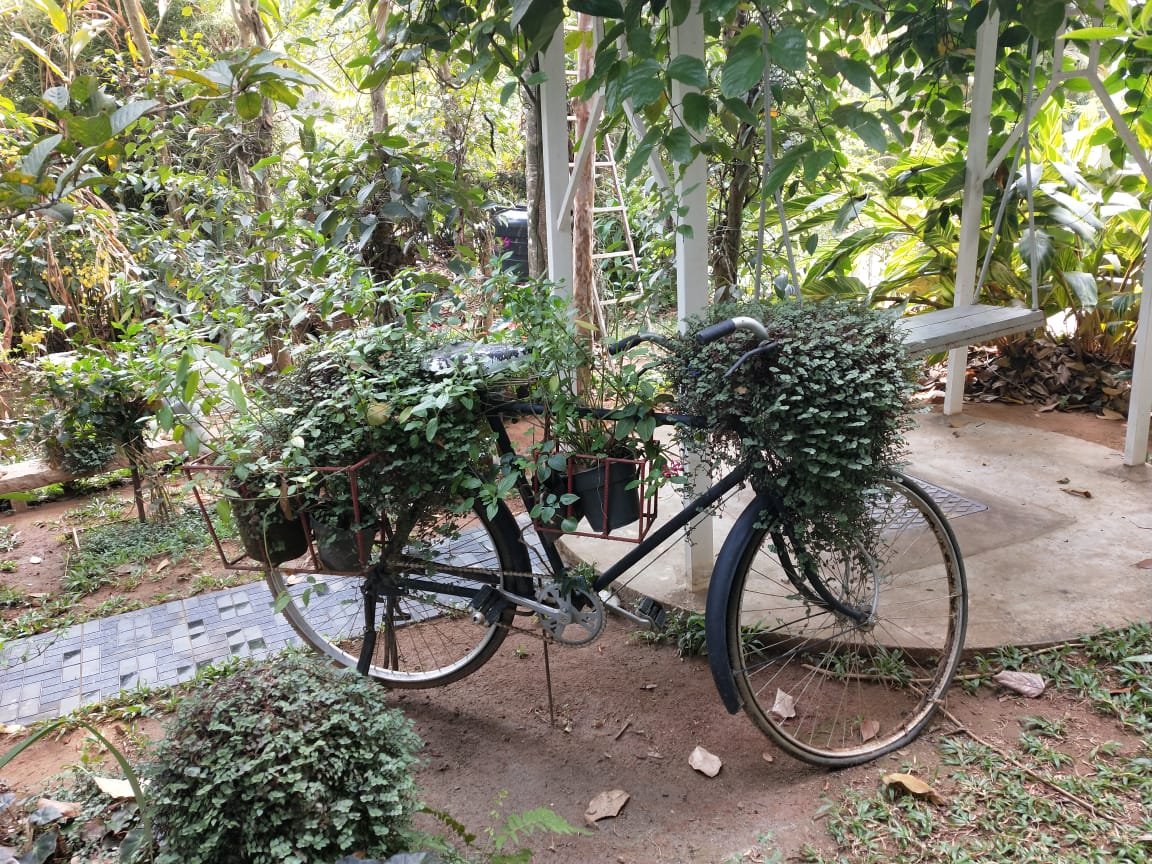 Mistletoe Munnar-浴室
