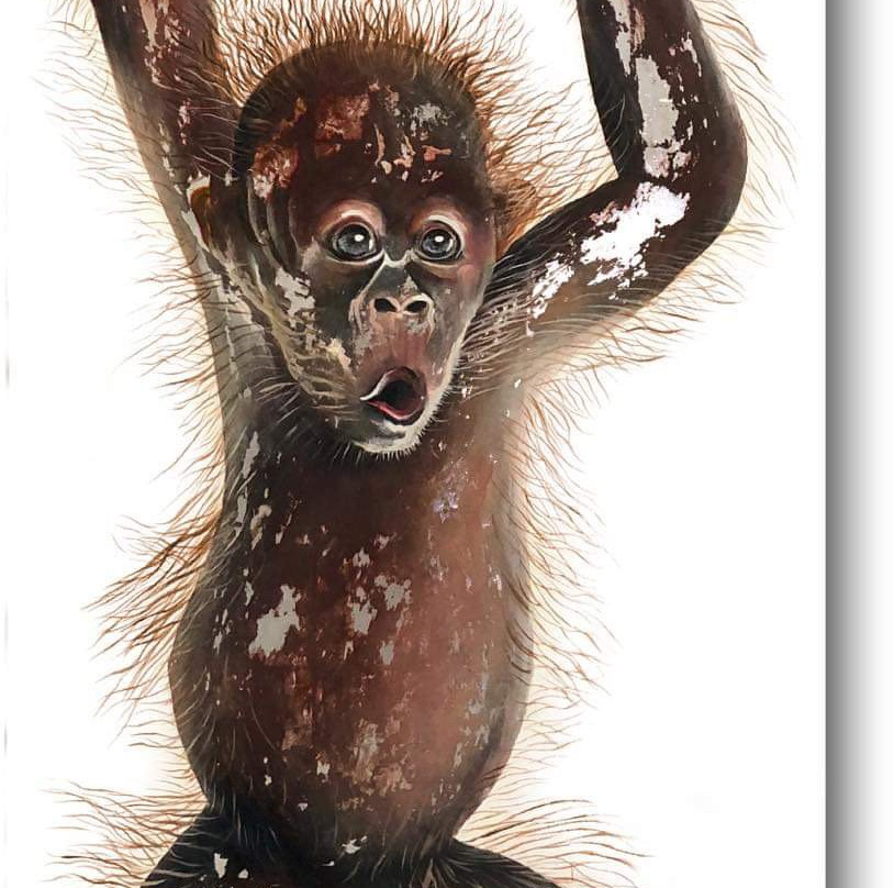 Sénéchal-Senekal-法兰舒克必去景点