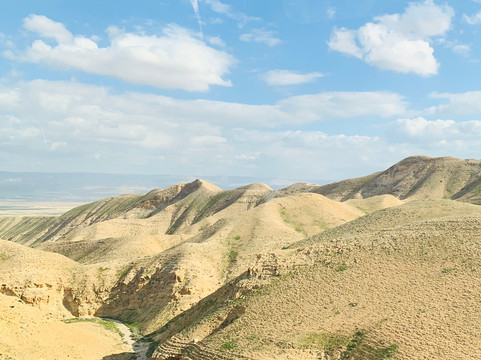 Bedu Tours-安曼必去景点