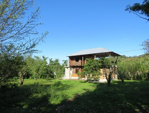 Selva de Los Colibries