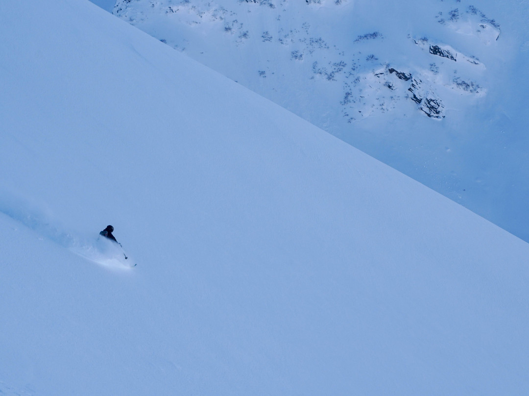 Chugach Powder Guides景点图片