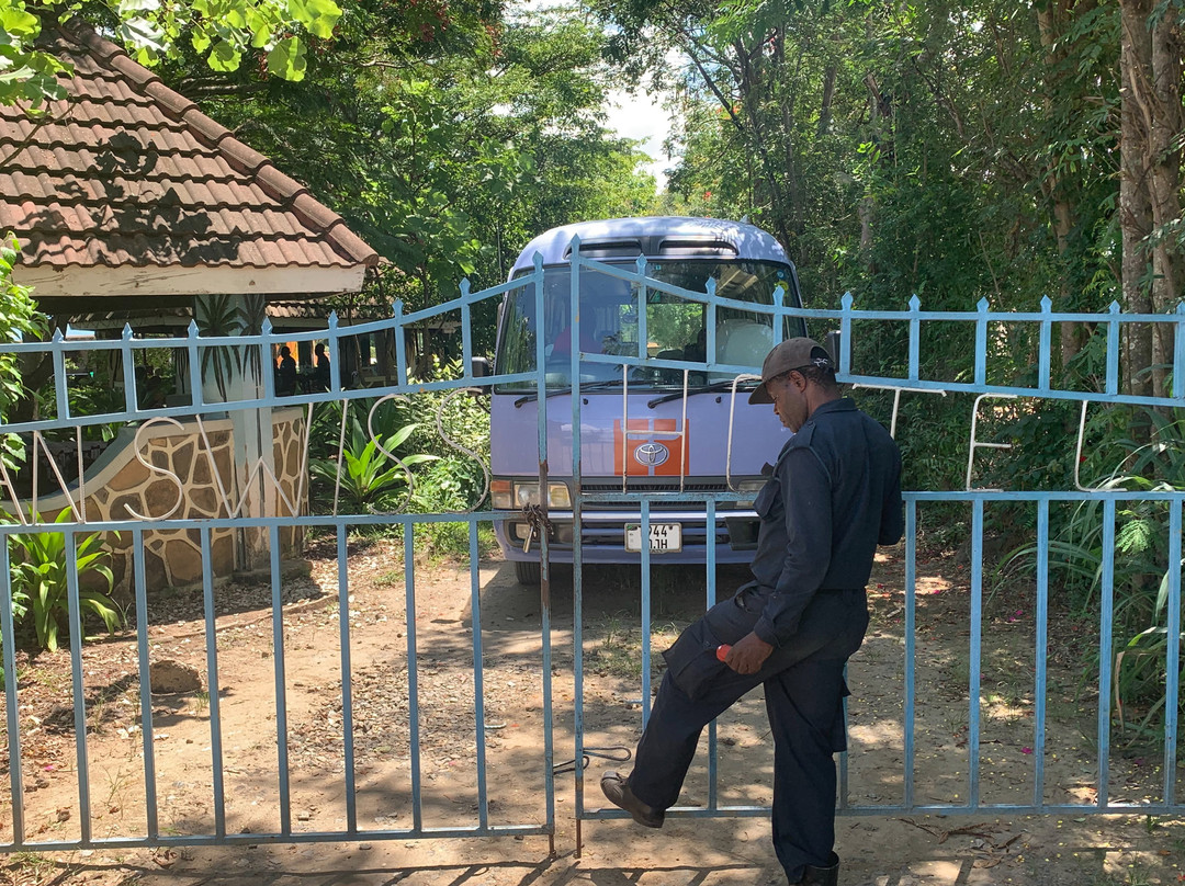 Tan Swiss Lodge主图