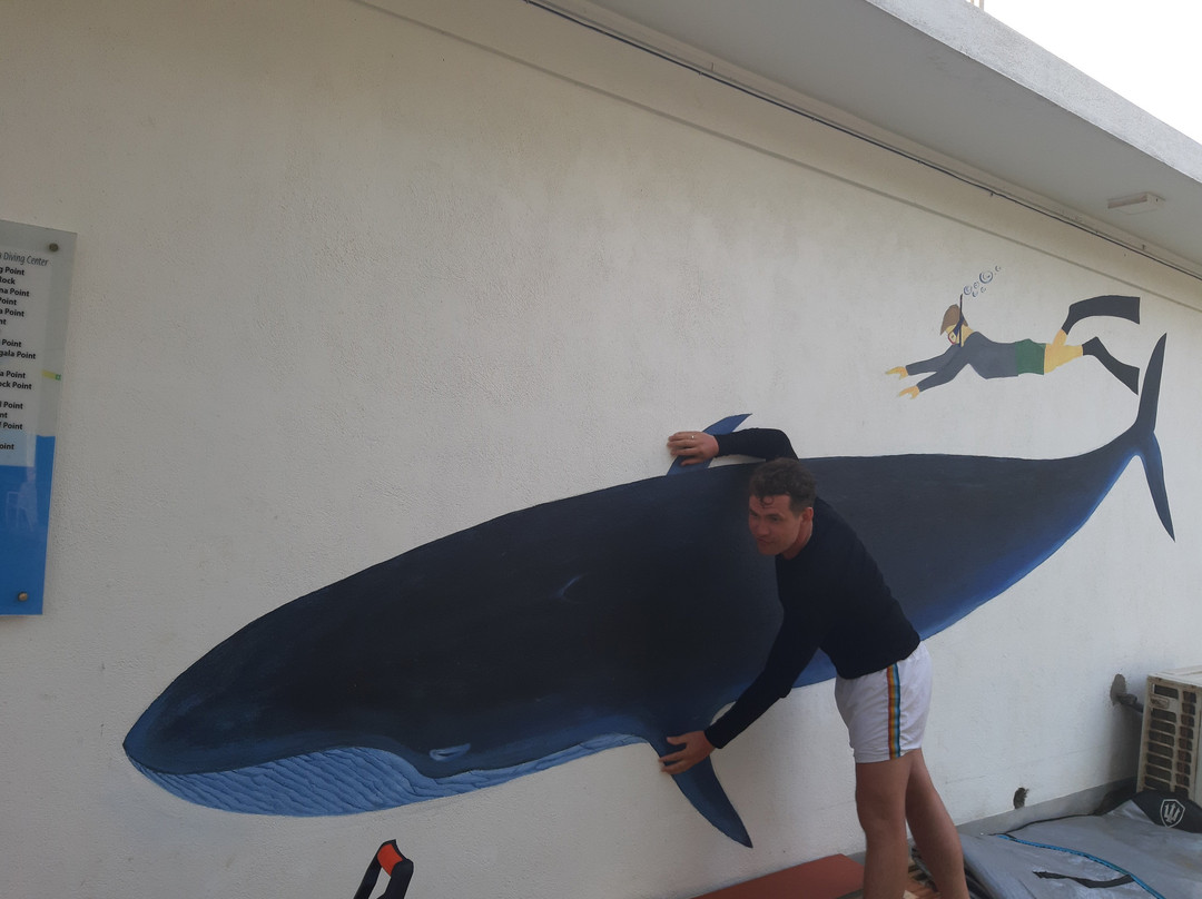 Mirissa Snorkeling Tours-美蕊沙必去景点