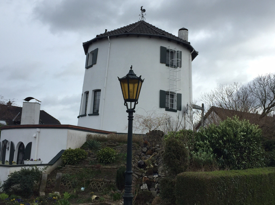 De Witte Molen主图