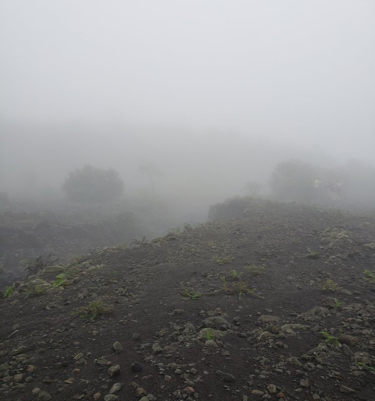 La Fortuna Arenal Volcano Rain Forest Reserve景点图片