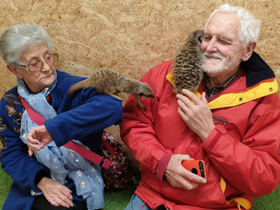 Reptile Rendezvous & Furry Friends景点图片