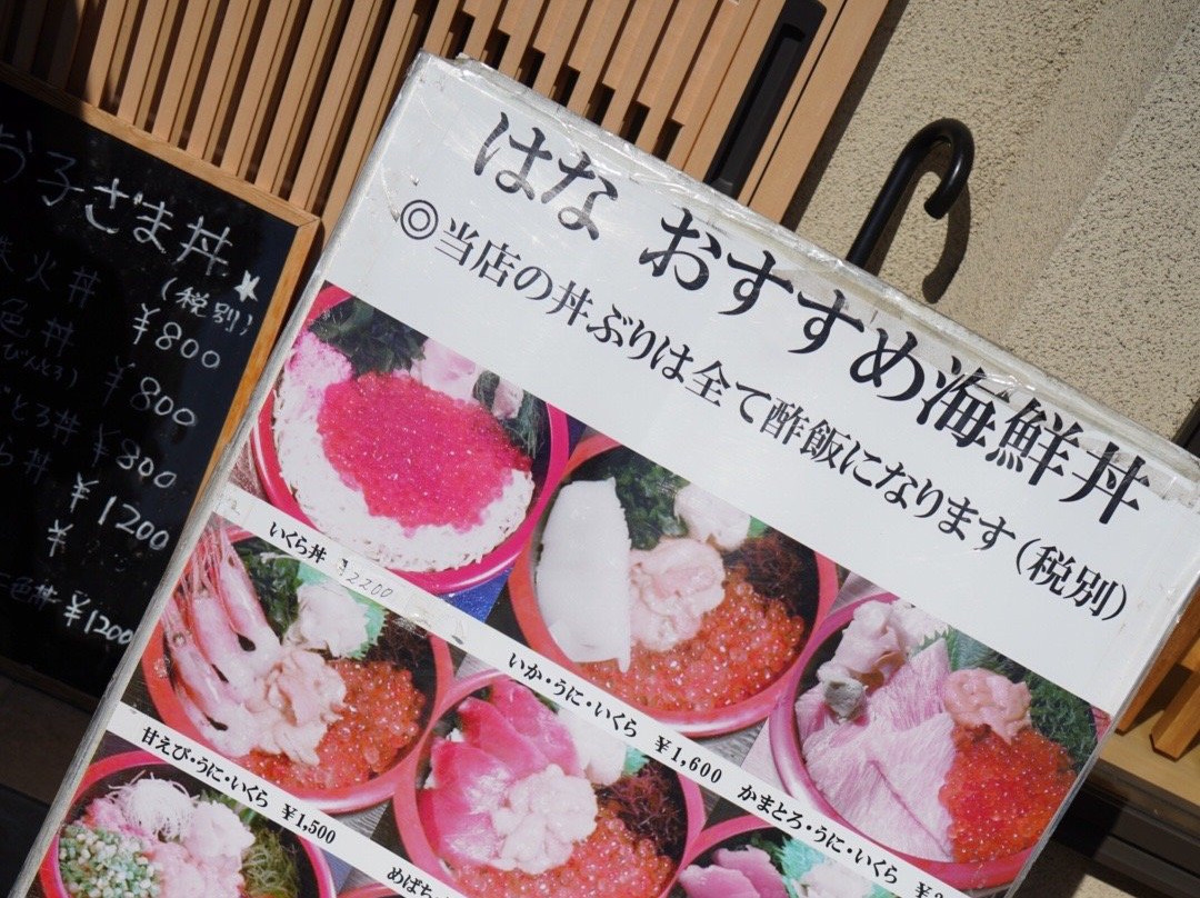 Misaki Port-三浦市必去景点