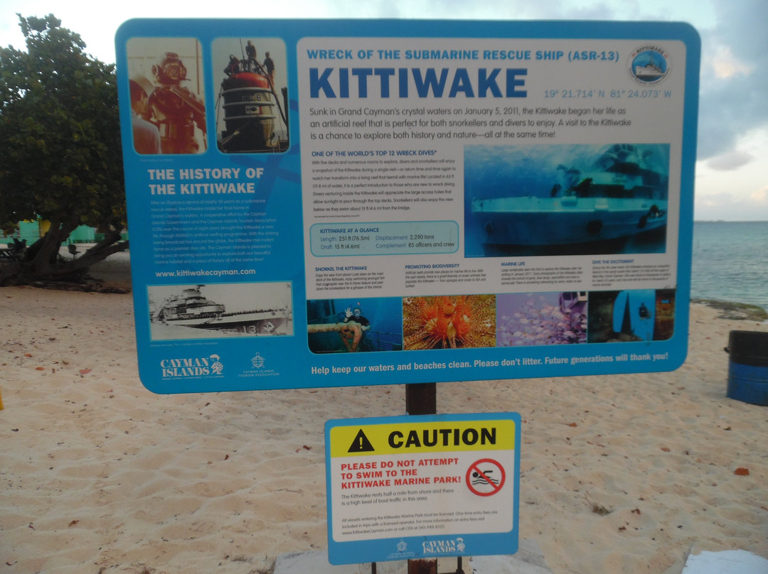 Kittiwake Shipwreck & Artificial Reef景点图片