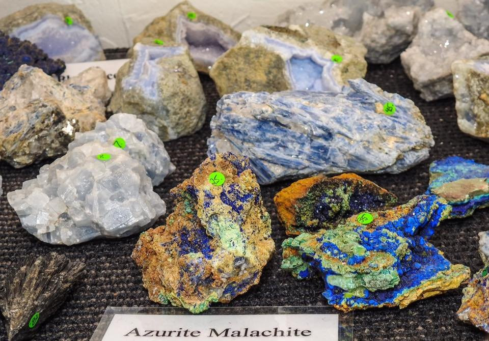 Pineapple Rocks-萨拉索塔必去景点