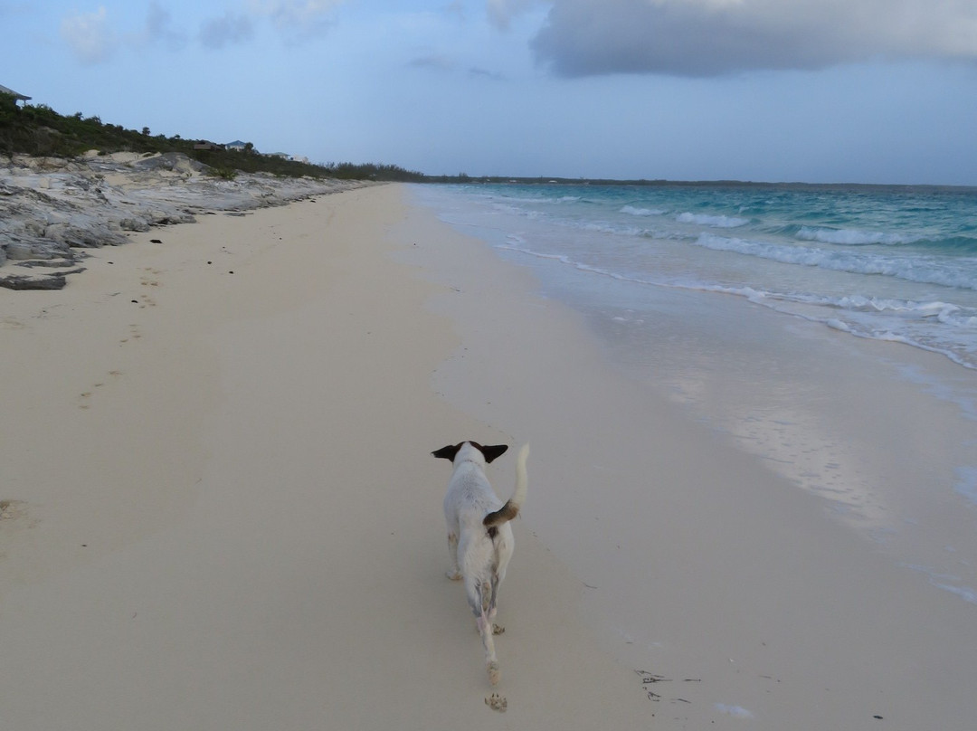 鸽子礁沙滩俱乐部主图