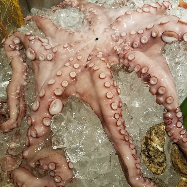 Stirling旅游攻略图片