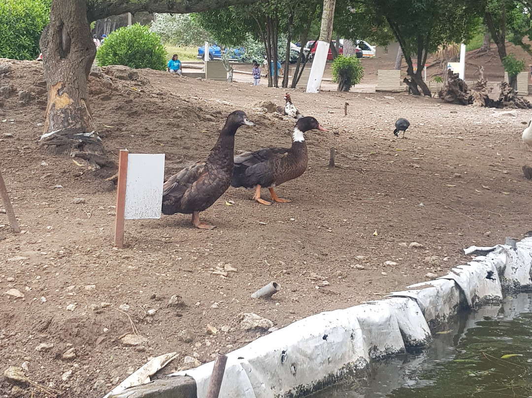 Parque Miguel Lillo景点图片