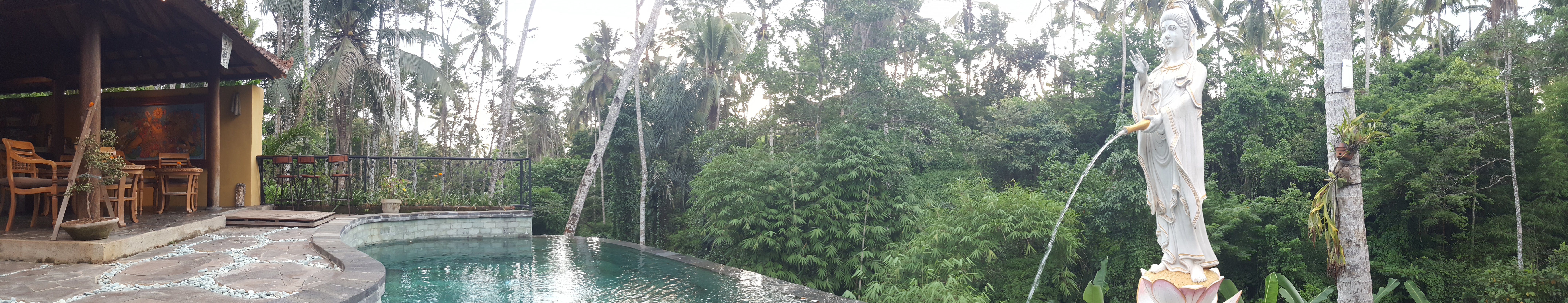 Jungle Lotus Villas-泳池