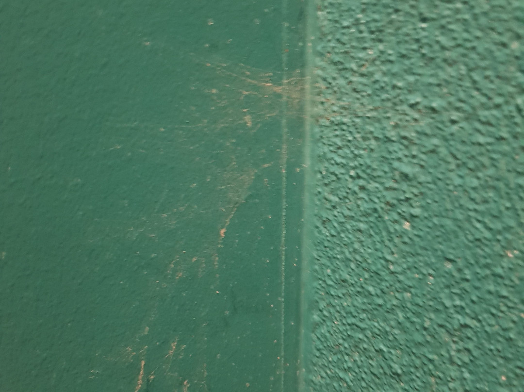 柏坦妮学术汽车旅馆主图