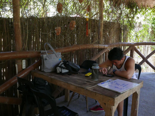 Bongo Bongo Divers主图