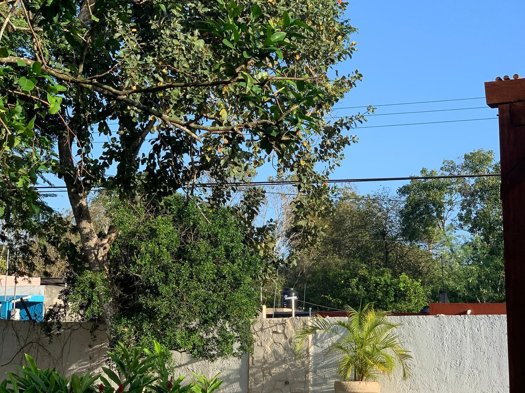 Casa Xaan Boutique Hotel主图