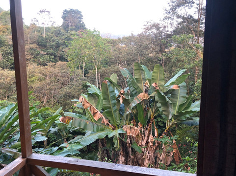 Corredores del Pacuare