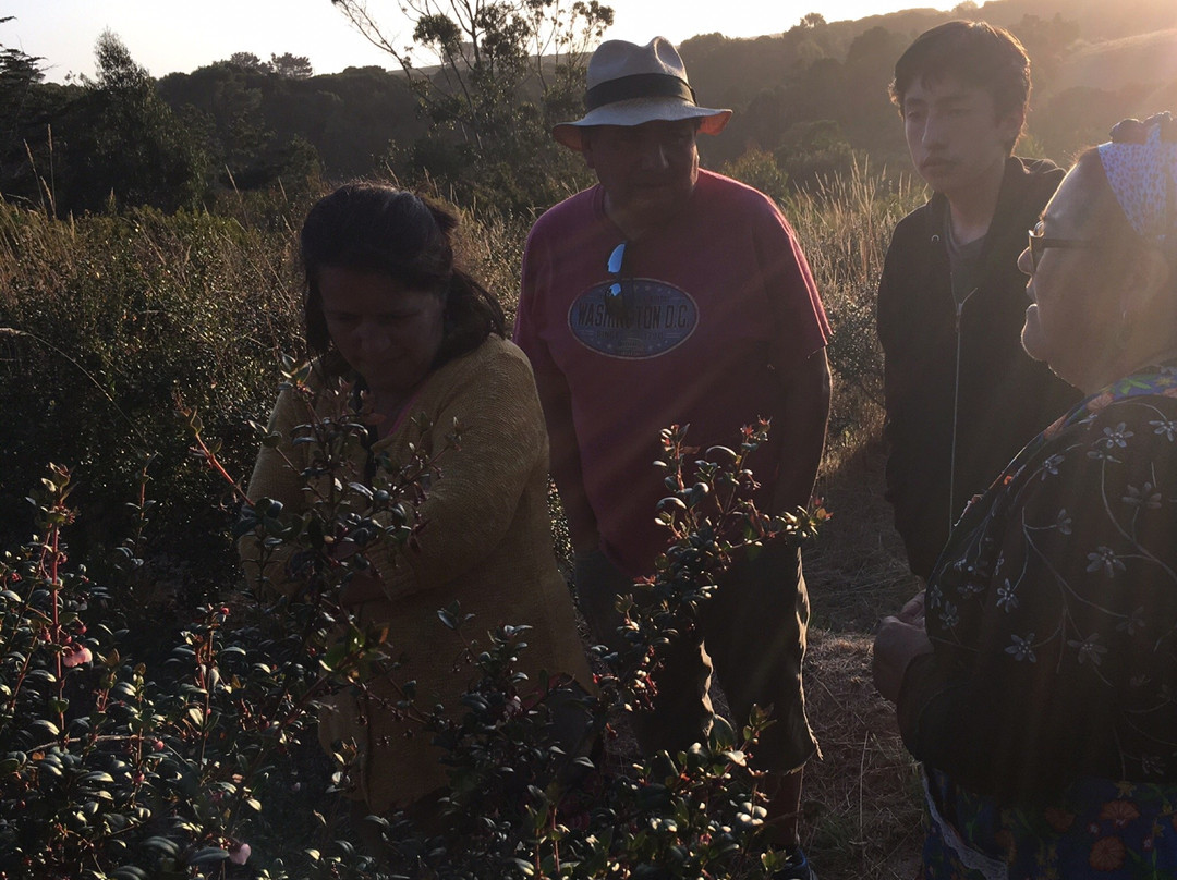 Lago Budi-Puerto Saavedra必去景点