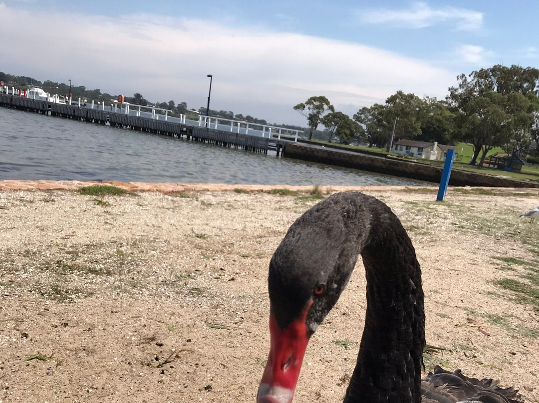 Lakes Entrance Visitors Information Centre-莱克斯恩特伦斯必去景点